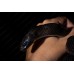 Serpiente rey mexicana negra - Lampropeltis getula nigritus